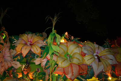 Krewe-of-Orpheus-2008-New-Orleans-Mardi-Gras-Parade-0604