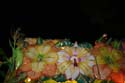 Krewe-of-Orpheus-2008-New-Orleans-Mardi-Gras-Parade-0608