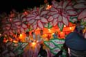 Krewe-of-Orpheus-2008-New-Orleans-Mardi-Gras-Parade-0891