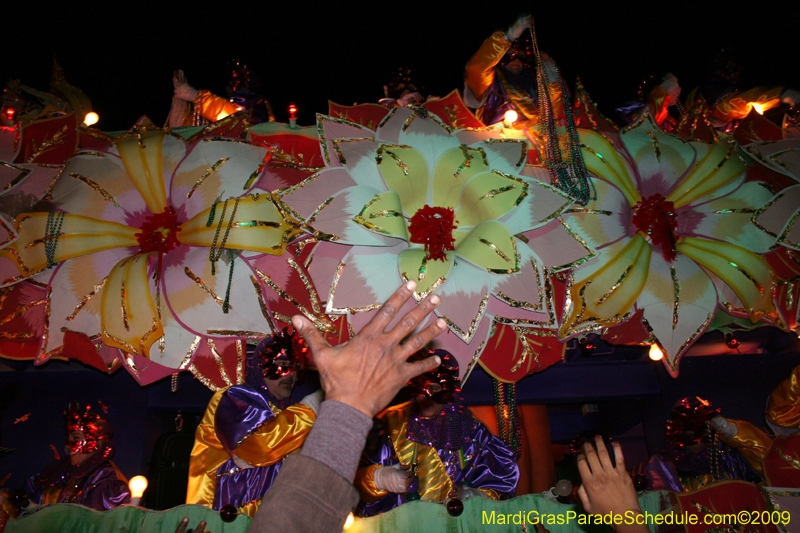 2009-Krewe-of-Orpheus-presents-The-Whimsical-World-of-How-and-Why-Mardi-Gras-New-Orleans-1566