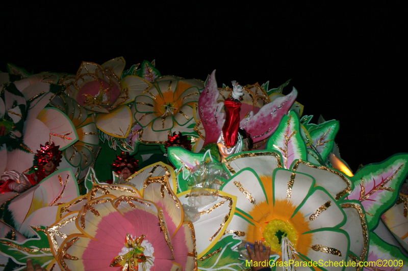 2009-Krewe-of-Orpheus-presents-The-Whimsical-World-of-How-and-Why-Mardi-Gras-New-Orleans-1613