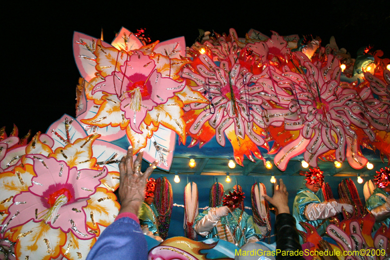 2009-Krewe-of-Orpheus-presents-The-Whimsical-World-of-How-and-Why-Mardi-Gras-New-Orleans-1624