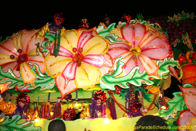 2009-Krewe-of-Orpheus-presents-The-Whimsical-World-of-How-and-Why-Mardi-Gras-New-Orleans-1662