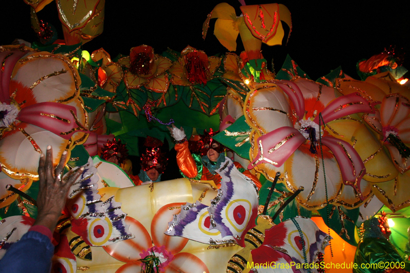 2009-Krewe-of-Orpheus-presents-The-Whimsical-World-of-How-and-Why-Mardi-Gras-New-Orleans-1787