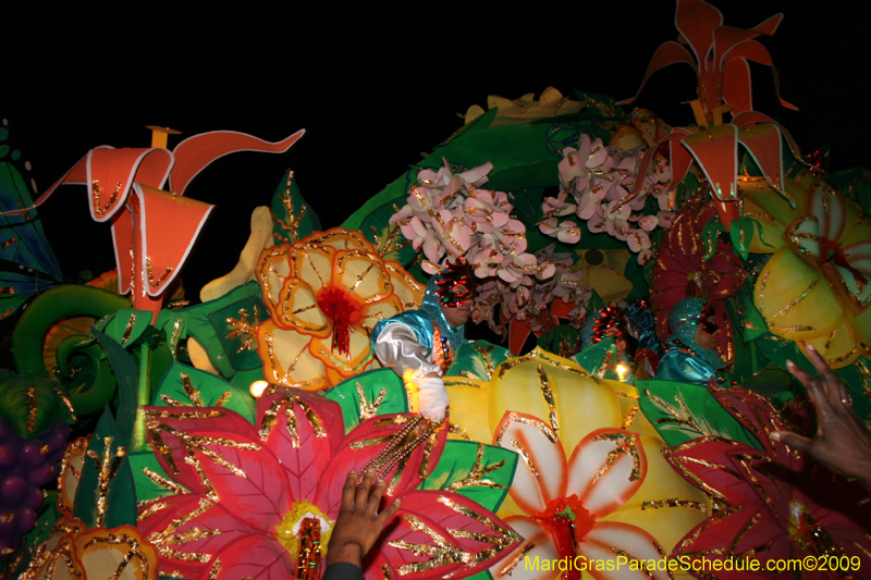 2009-Krewe-of-Orpheus-presents-The-Whimsical-World-of-How-and-Why-Mardi-Gras-New-Orleans-1820