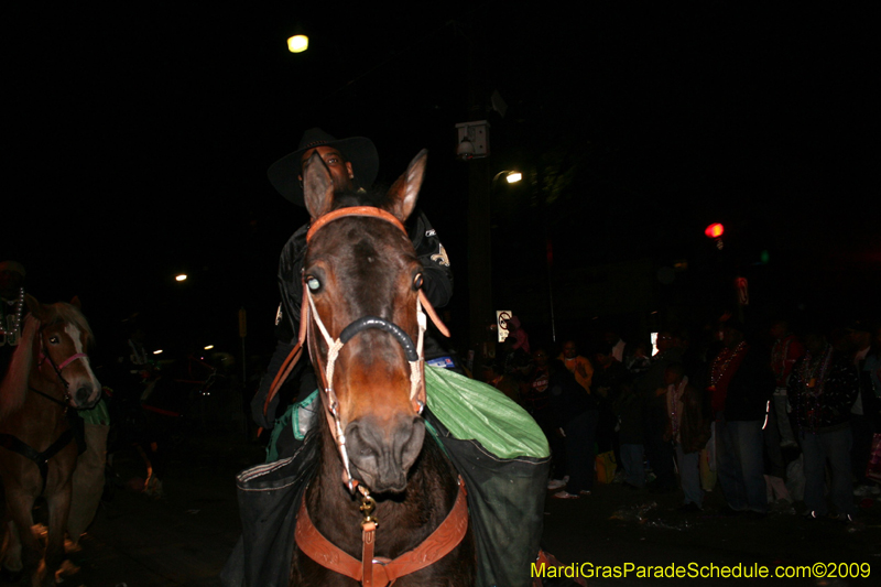 2009-Krewe-of-Orpheus-presents-The-Whimsical-World-of-How-and-Why-Mardi-Gras-New-Orleans-1824