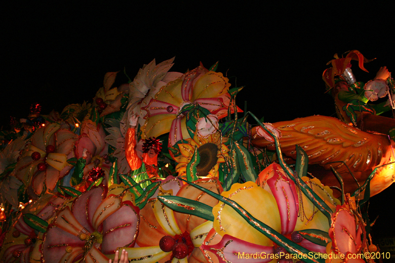 Krewe-of-Orpheus-2010-New-Orleans-Mardi-Gras-10098