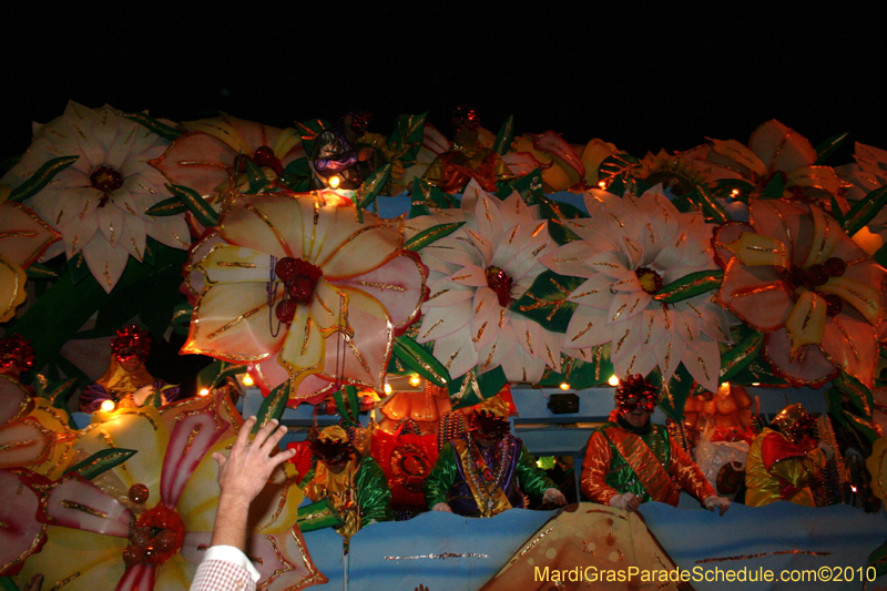 Krewe-of-Orpheus-2010-New-Orleans-Mardi-Gras-10100