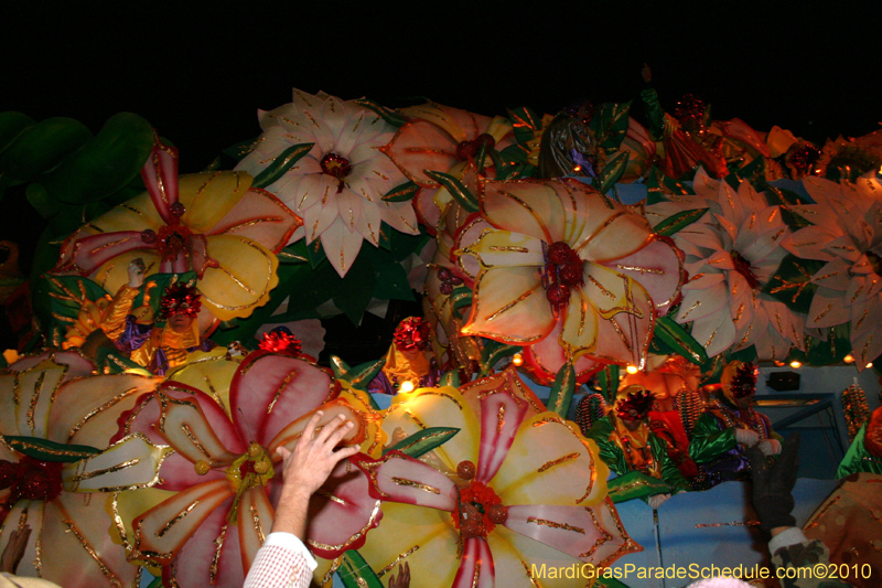 Krewe-of-Orpheus-2010-New-Orleans-Mardi-Gras-10101