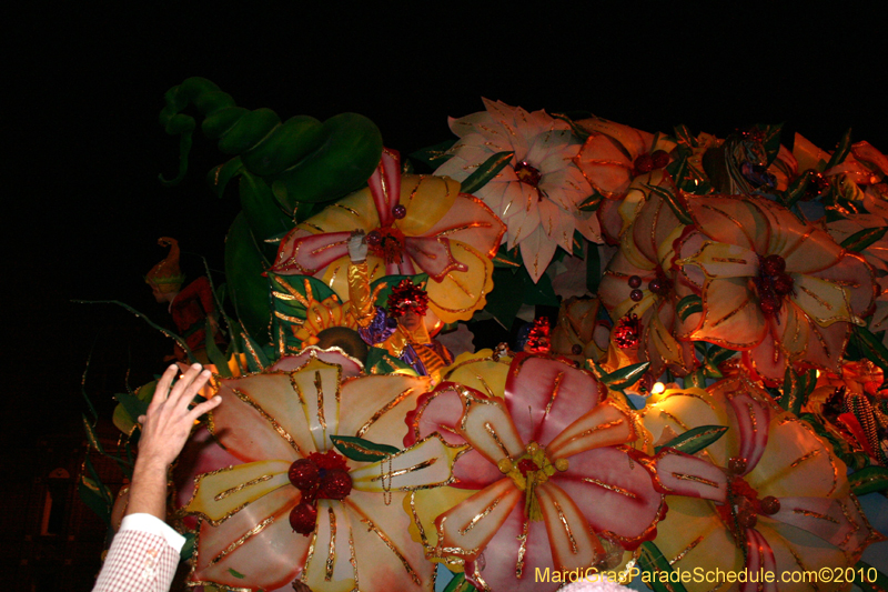 Krewe-of-Orpheus-2010-New-Orleans-Mardi-Gras-10102