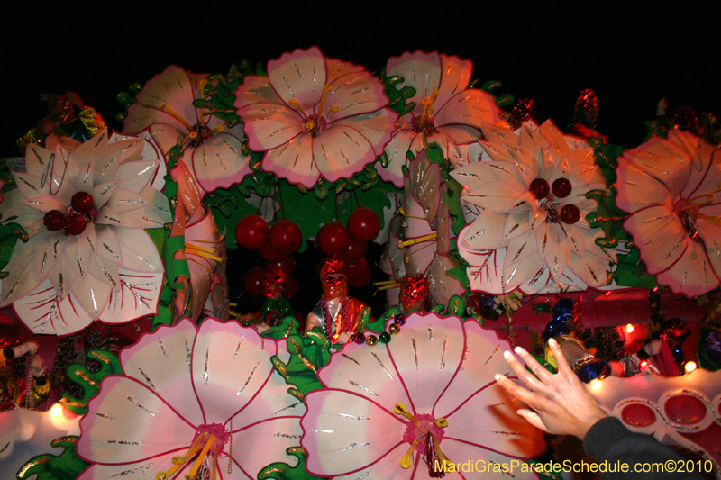 Krewe-of-Orpheus-2010-New-Orleans-Mardi-Gras-10168