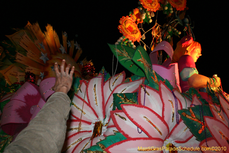 Krewe-of-Orpheus-2010-New-Orleans-Mardi-Gras-10316