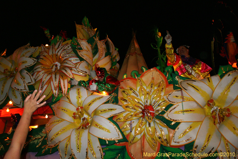 Krewe-of-Orpheus-2010-New-Orleans-Mardi-Gras-10340