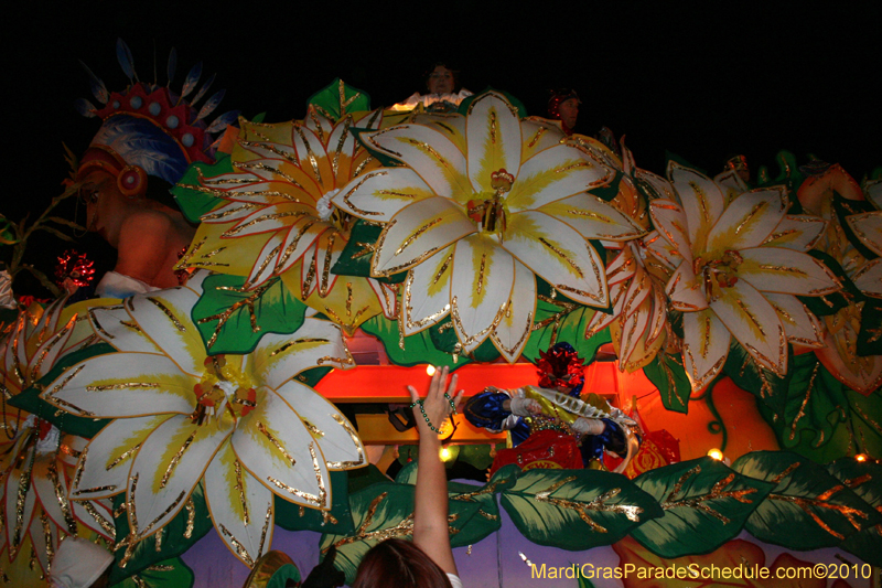 Krewe-of-Orpheus-2010-New-Orleans-Mardi-Gras-10345