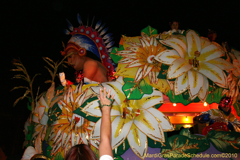 Krewe-of-Orpheus-2010-New-Orleans-Mardi-Gras-10346