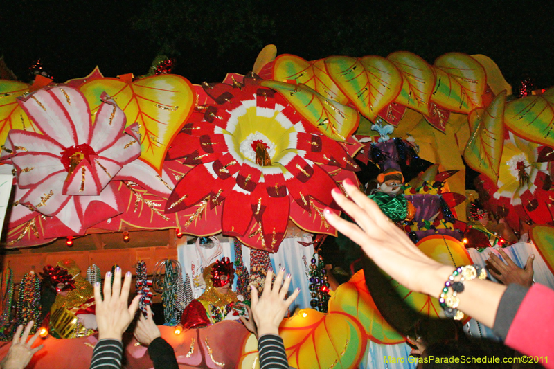 Krewe-of-Orpheus-2011-0318