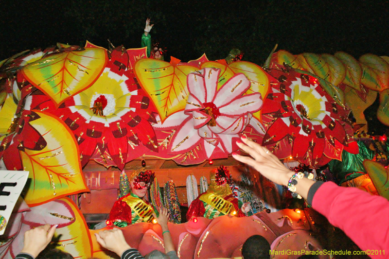 Krewe-of-Orpheus-2011-0319