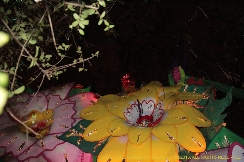 Krewe-of-Orpheus-2013-1229