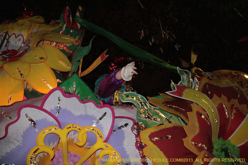 Krewe-of-Orpheus-2013-1230