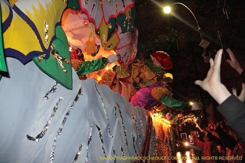 Krewe-of-Orpheus-2013-1341