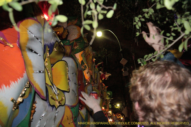 Krewe-of-Orpheus-2013-1440