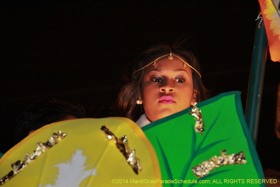 2014-Krewe-of-Orpheus-11161