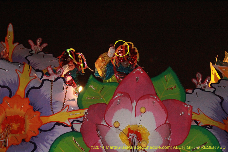 2014-Krewe-of-Orpheus-11260