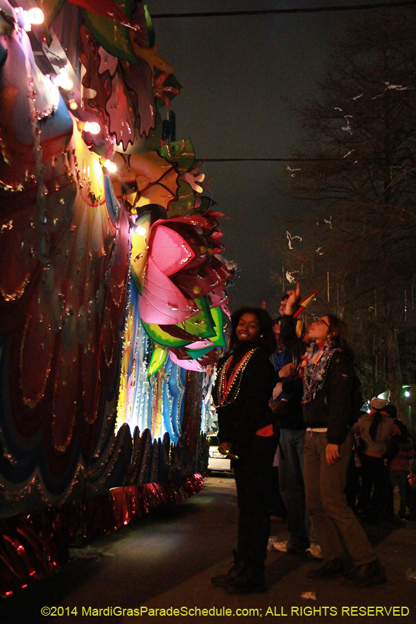 2014-Krewe-of-Orpheus-11267