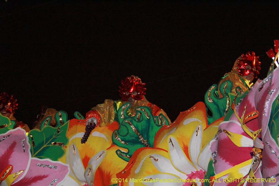 2014-Krewe-of-Orpheus-11287