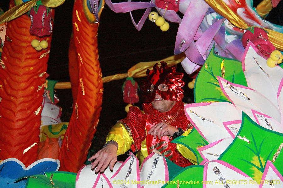 2014-Krewe-of-Orpheus-11312