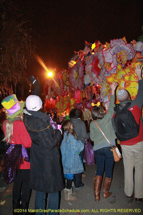 2014-Krewe-of-Orpheus-11353