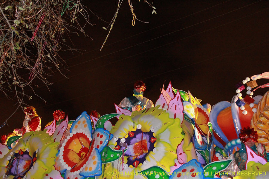 2014-Krewe-of-Orpheus-11373