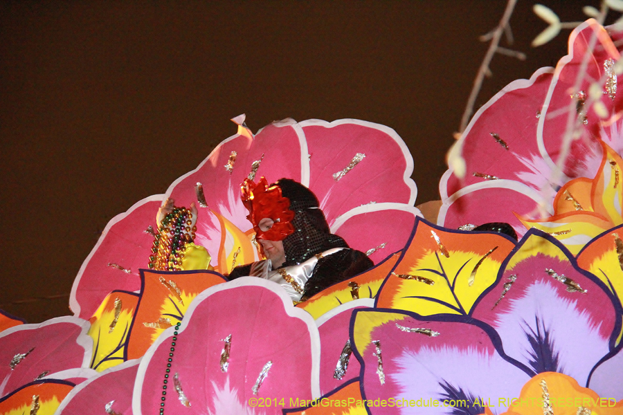 2014-Krewe-of-Orpheus-11400