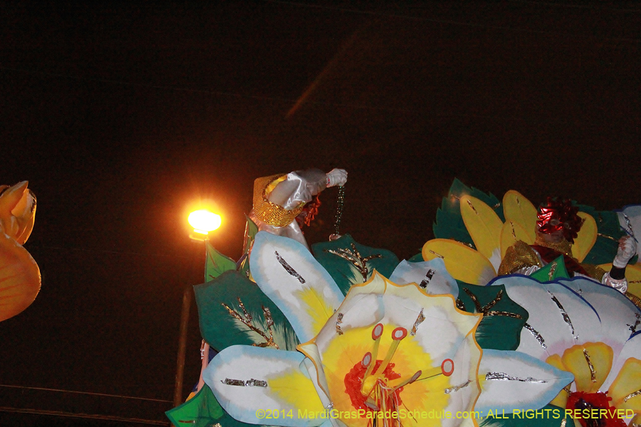 2014-Krewe-of-Orpheus-11411