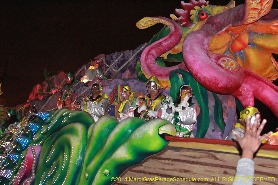 2014-Krewe-of-Orpheus-11444