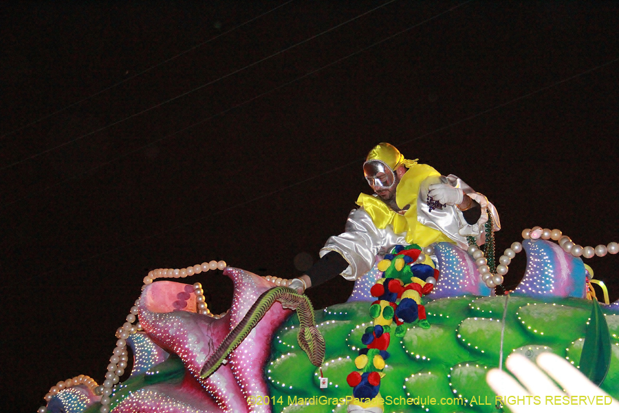 2014-Krewe-of-Orpheus-11452