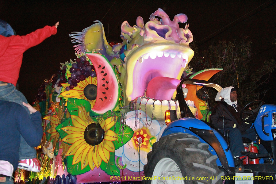 2014-Krewe-of-Orpheus-11483