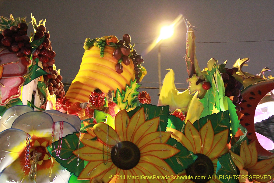 2014-Krewe-of-Orpheus-11484