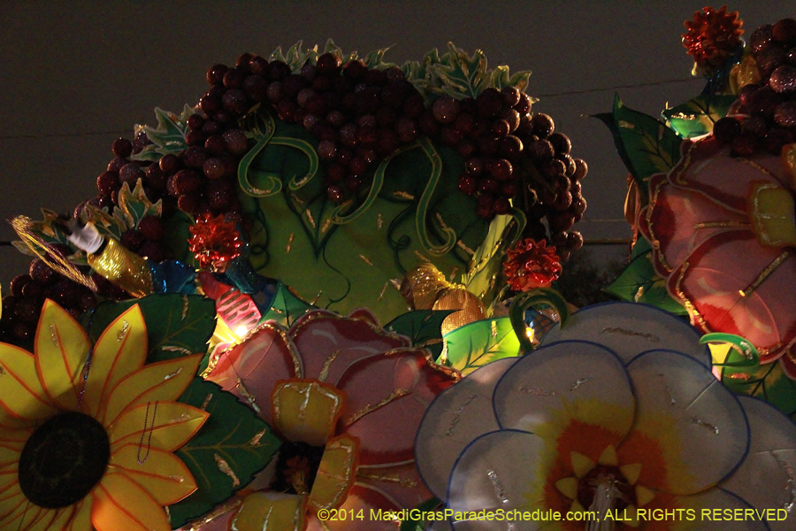 2014-Krewe-of-Orpheus-11487