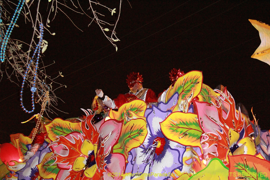 2014-Krewe-of-Orpheus-11517