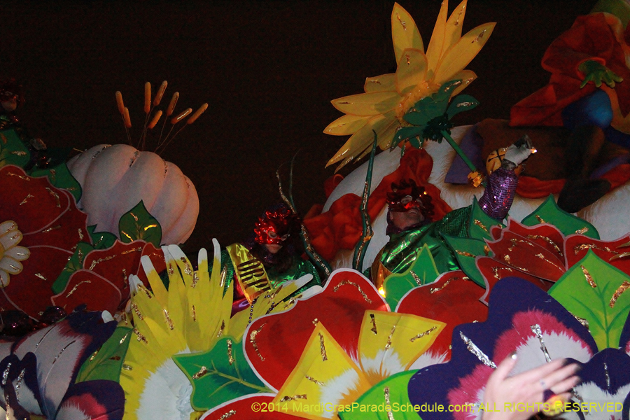 2014-Krewe-of-Orpheus-11542