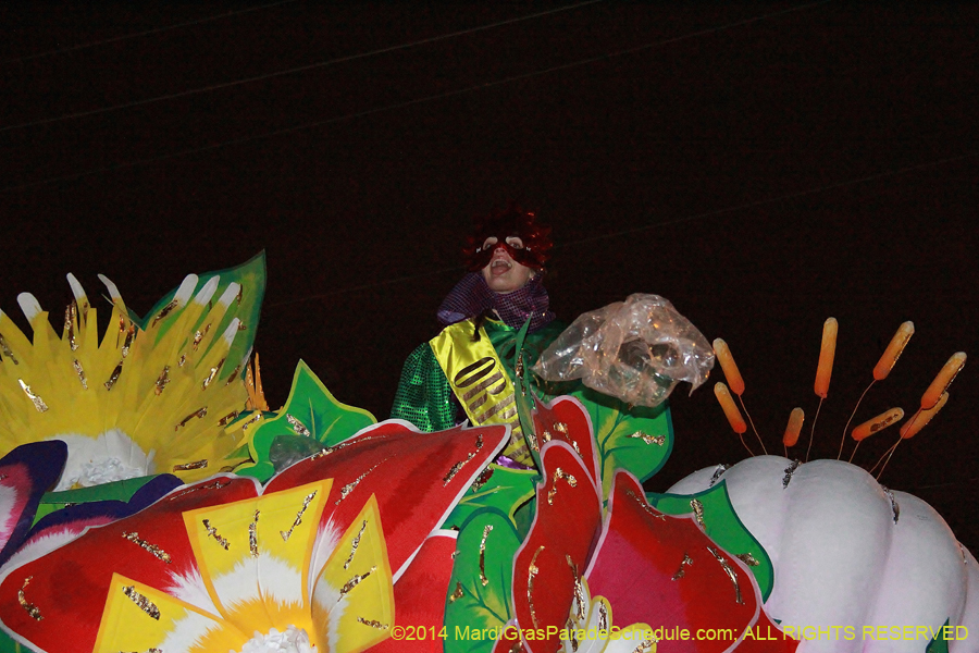 2014-Krewe-of-Orpheus-11544