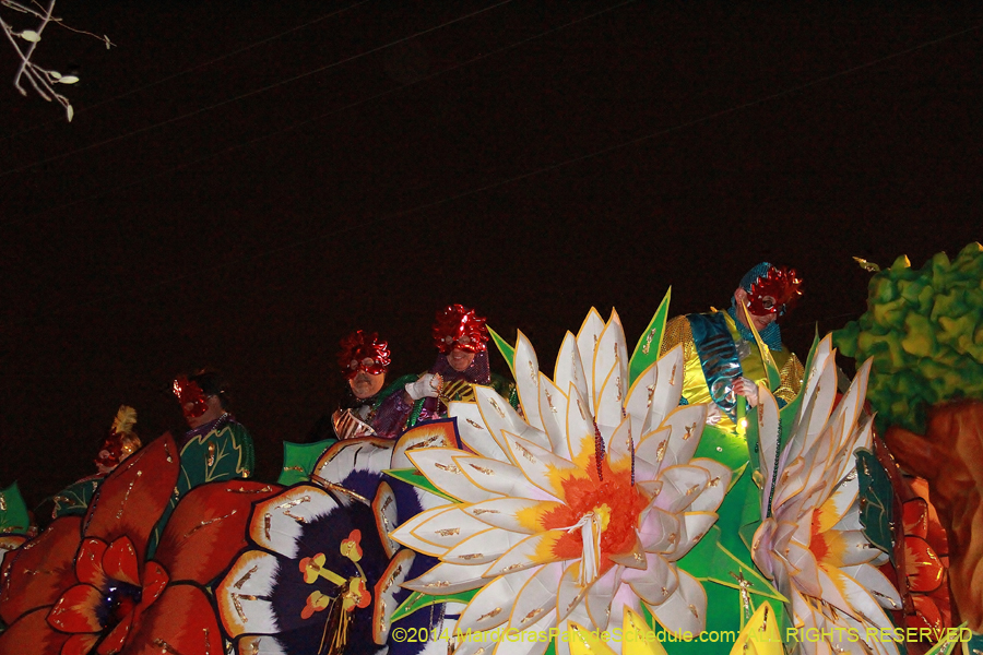 2014-Krewe-of-Orpheus-11560