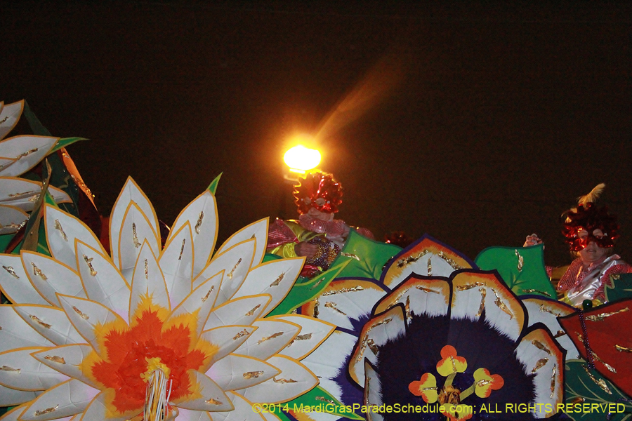 2014-Krewe-of-Orpheus-11564