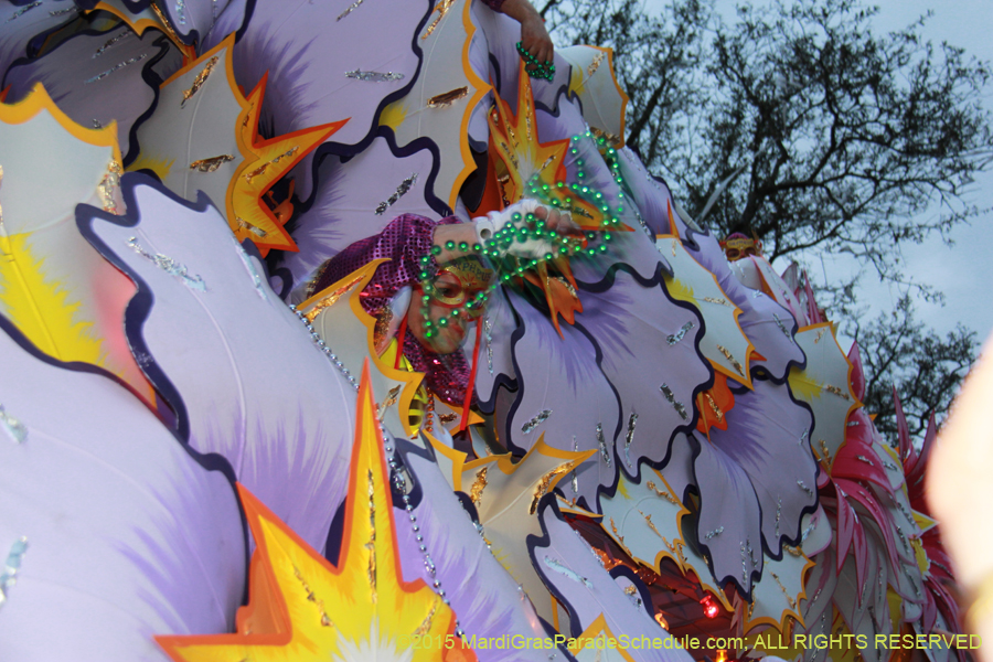 Krewe-of-Orpheus-2015-19089