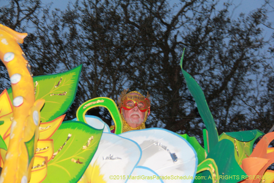 Krewe-of-Orpheus-2015-19133