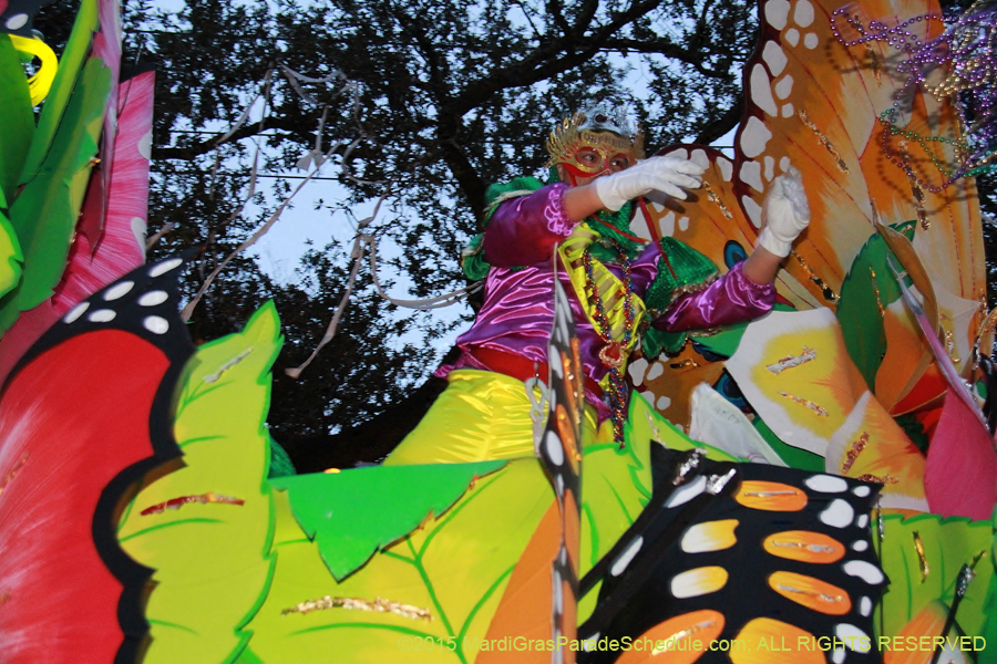 Krewe-of-Orpheus-2015-19143