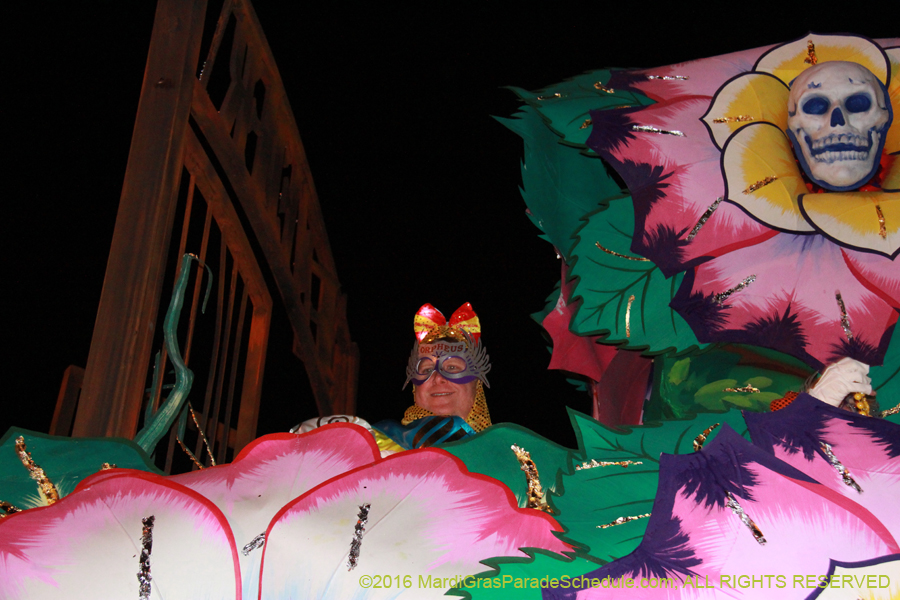 2016-Krewe-of-Orpheus-013970