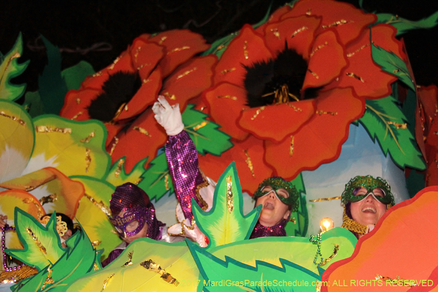 Krewe-of-Orpheus-2017-11651