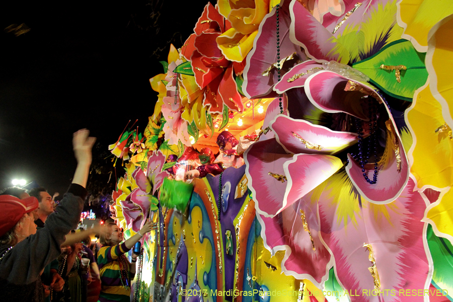 Krewe-of-Orpheus-2017-11770